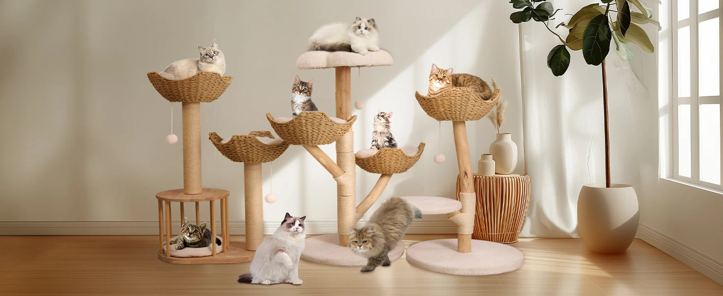 Modern Solid Wood Activity Tower for Indoor Cats