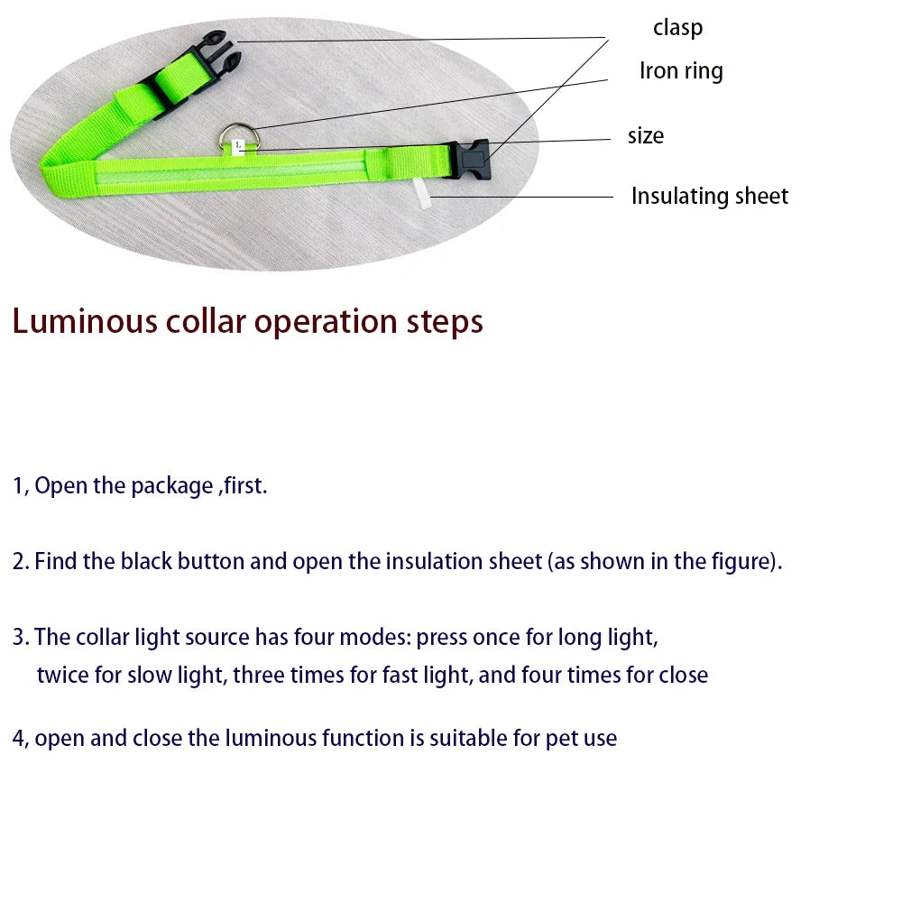 Necklace for Paws: Night Glow Collar