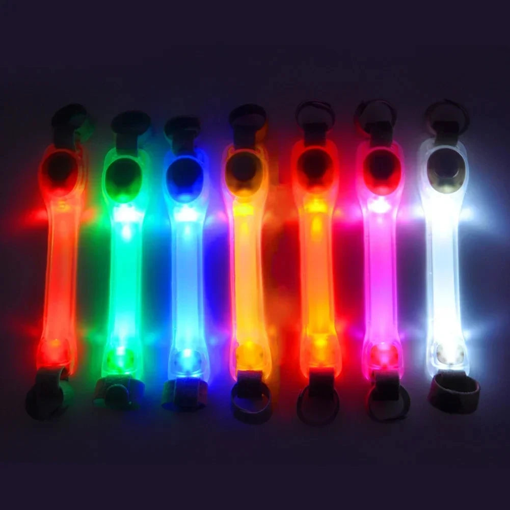 NightGlow LED Safety Light for Dog Collar/Leash (Multi-Color)
