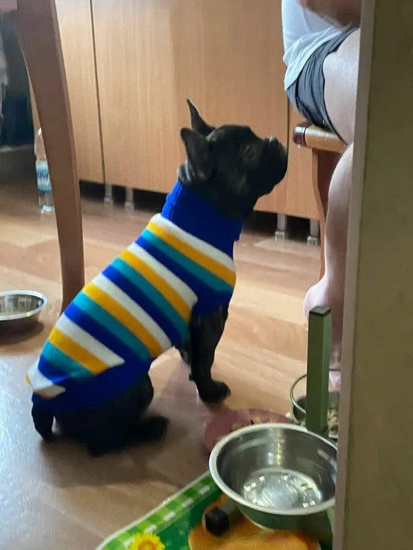 ❄️Snuggle Knit Winter Sweater for Dogs & Cats