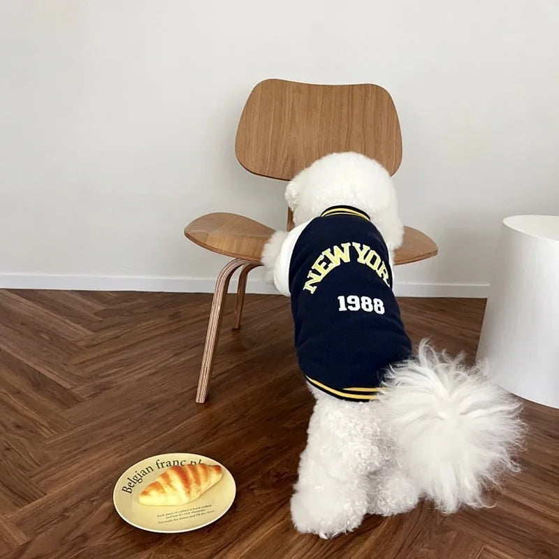Varsity Cozy Dog Sweatshirt