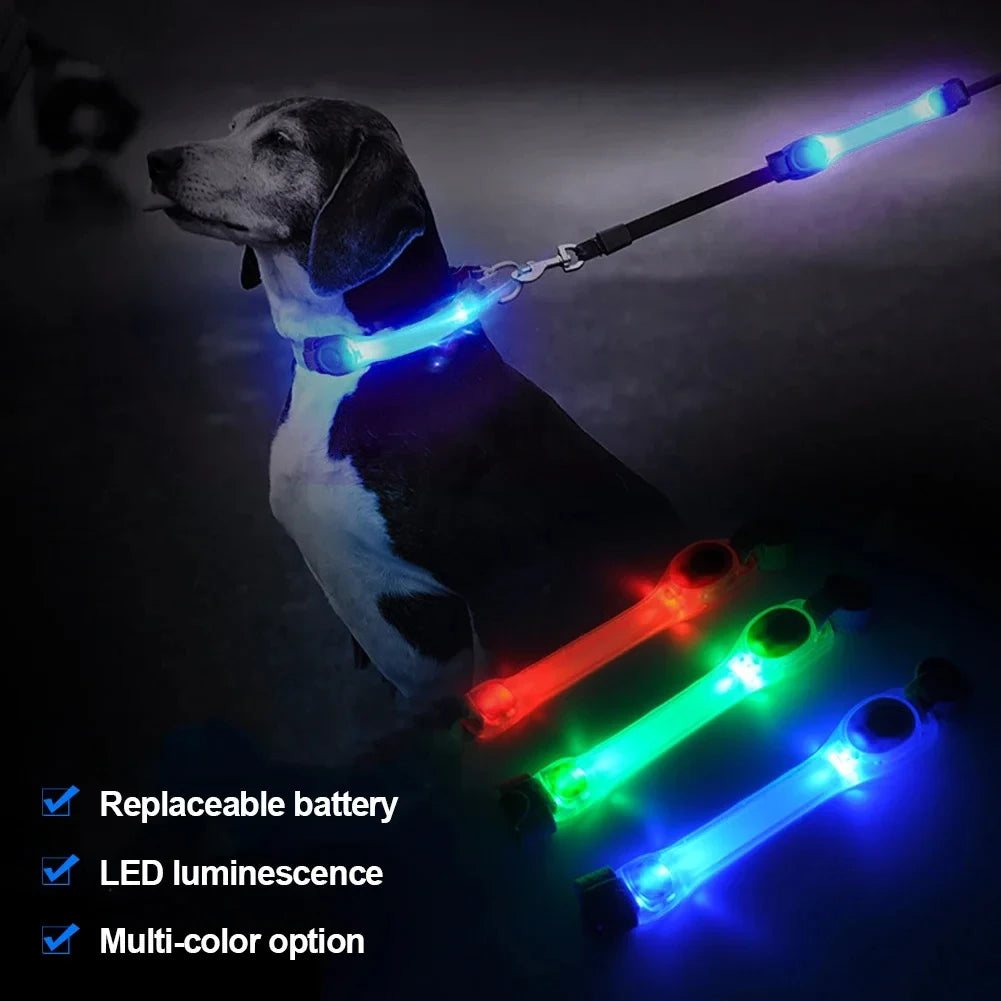 NightGlow LED Safety Light for Dog Collar/Leash (Multi-Color)