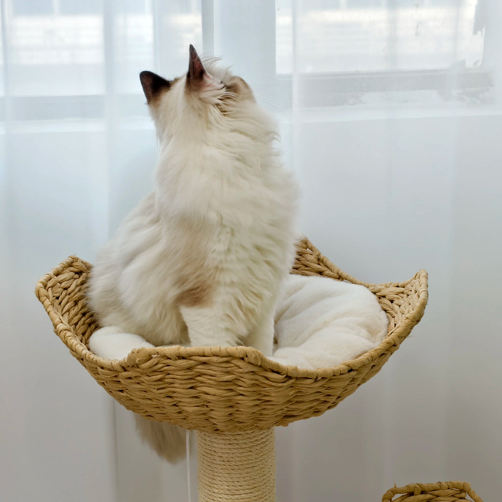3-Tier Natural Wood Climbing & Rest Tower for Indoor Cats