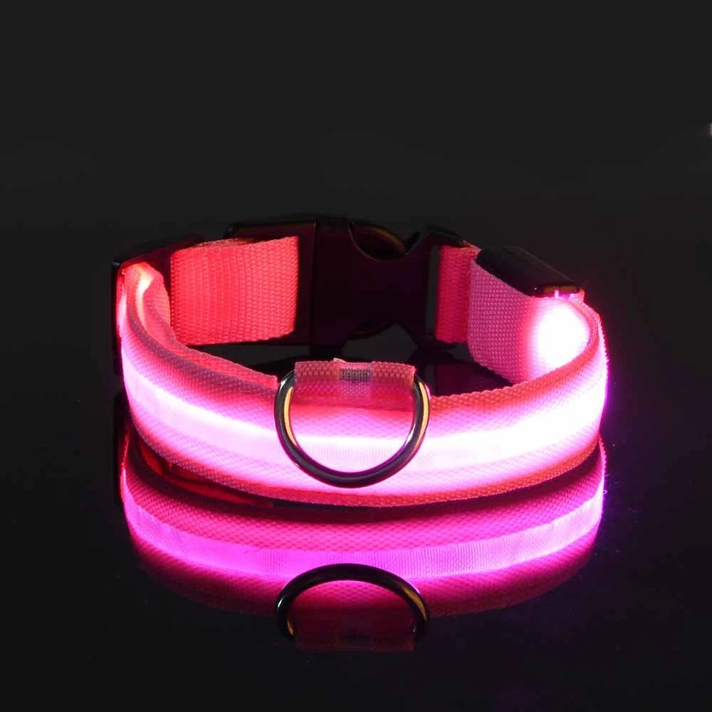 Necklace for Paws: Night Glow Collar