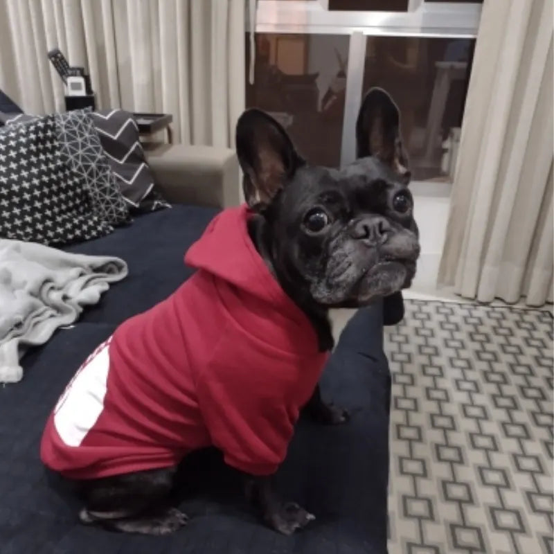 UrbanWarm Pet Hoodie Jacket