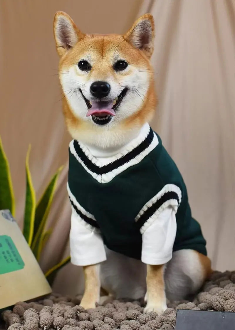 🐶Cozy V-Neck Knit Sweater