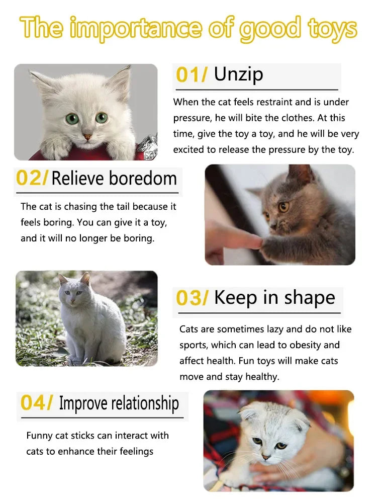 All-in-One Kitten Play Pack (Mixed Toys)