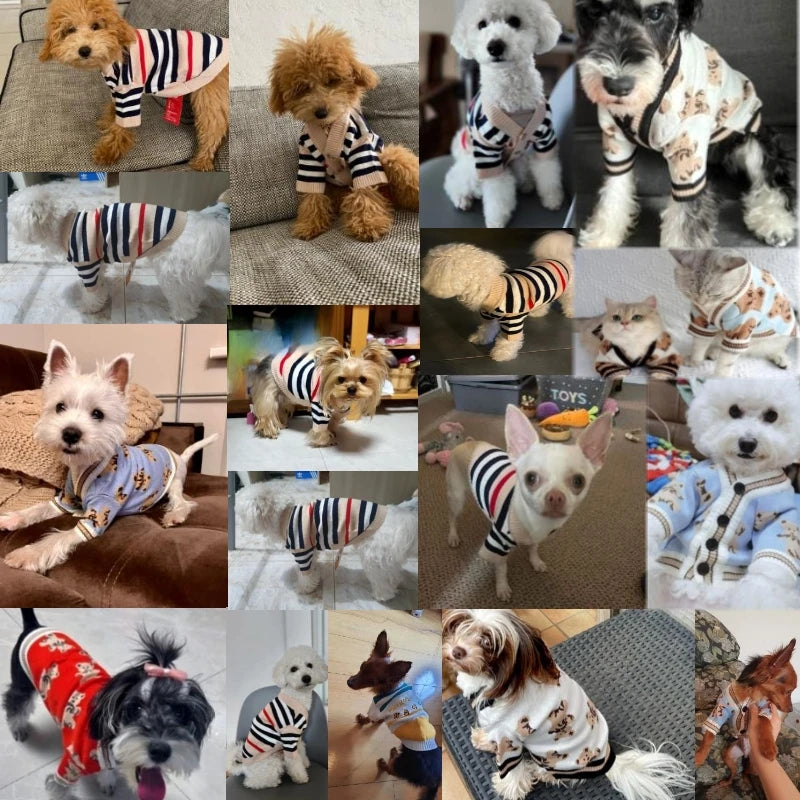 🍂Luxury Cotton Sweater for Small Dogs & Cats