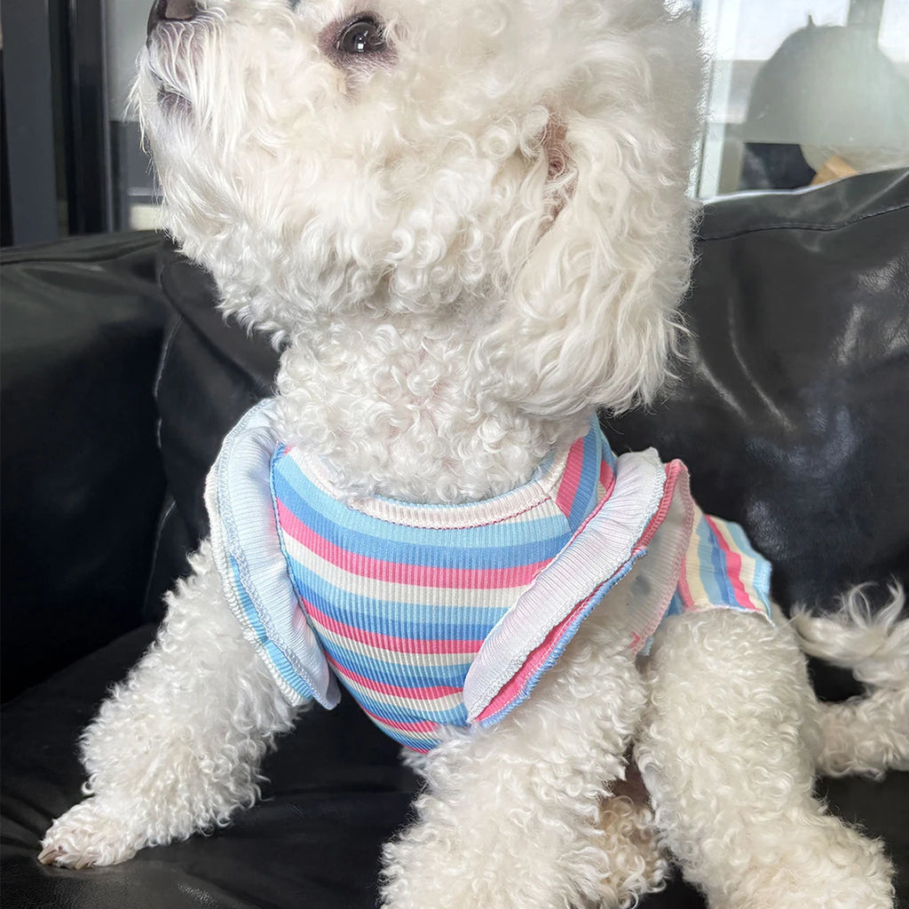 Rainbow Flower Summer Pet Dress Vest (Small Dogs & Cats) 🌈🌼