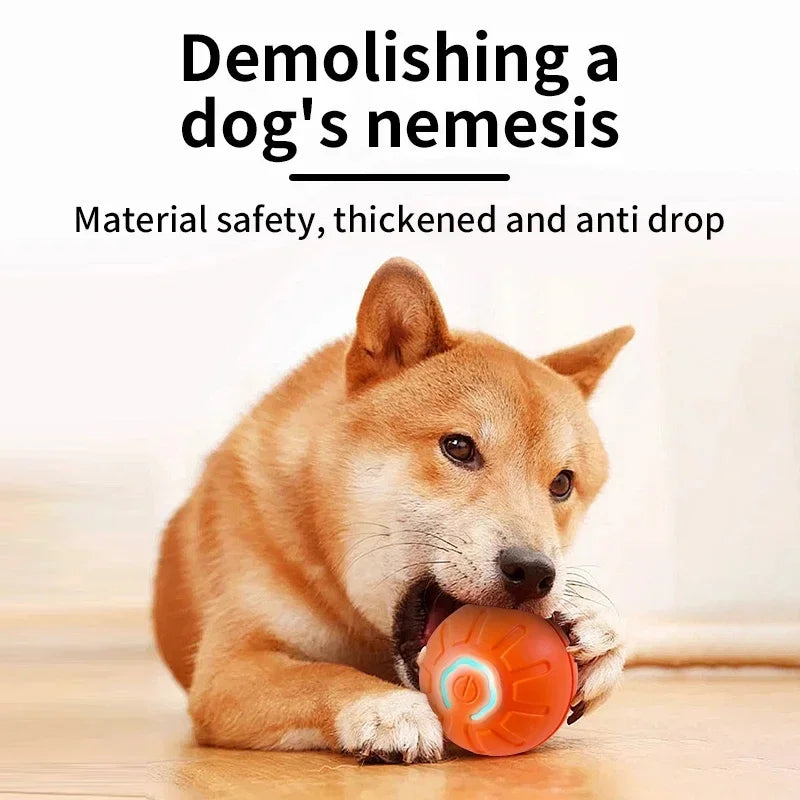 Smart Jump Ball Interactive Pet Toy (USB-C Rechargeable)