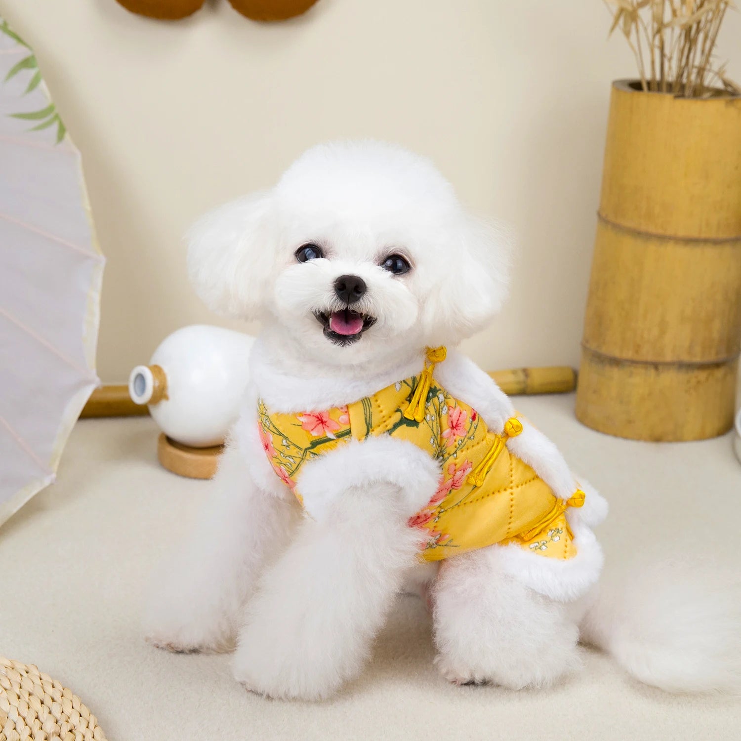 Chinese New Year Tang Suit Warm Dog Vest Jacket 🧧🐶✨