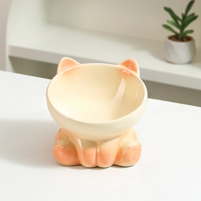 Gradient Ceramic Elevated Cat Bowl with Slanted Mouth