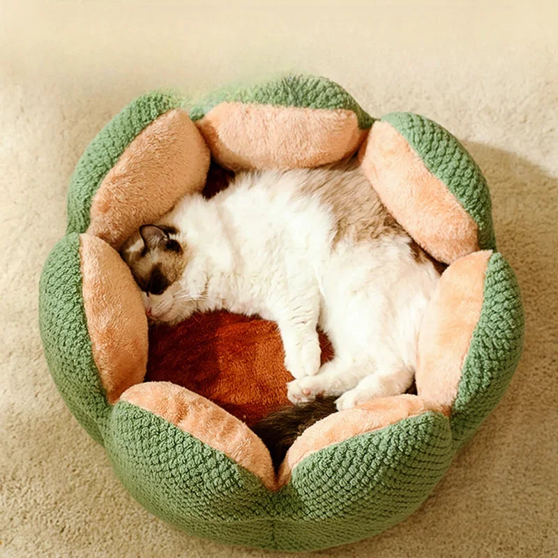 Cactus Flower Cat Bed (Plush Pet Nest for Cozy Naps) 🌵🌸🐱
