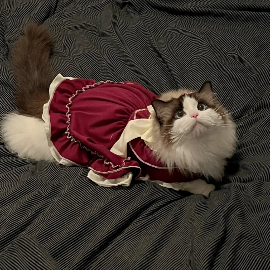 Lolita Bow Princess Dress for Cats & Small Dogs 🎀👑 (100% Cotton)