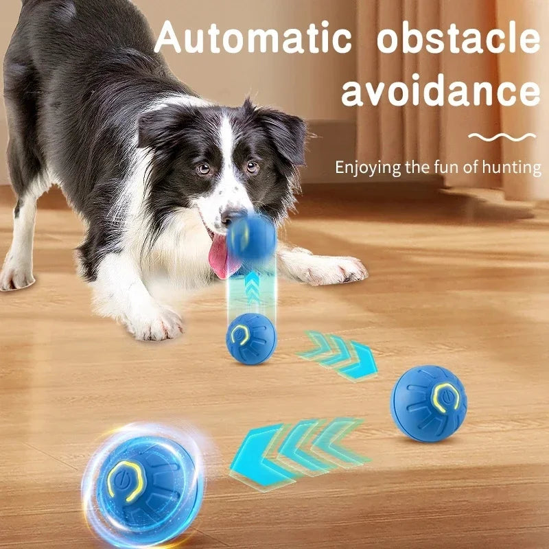 Smart Jump Ball Interactive Pet Toy (USB-C Rechargeable)