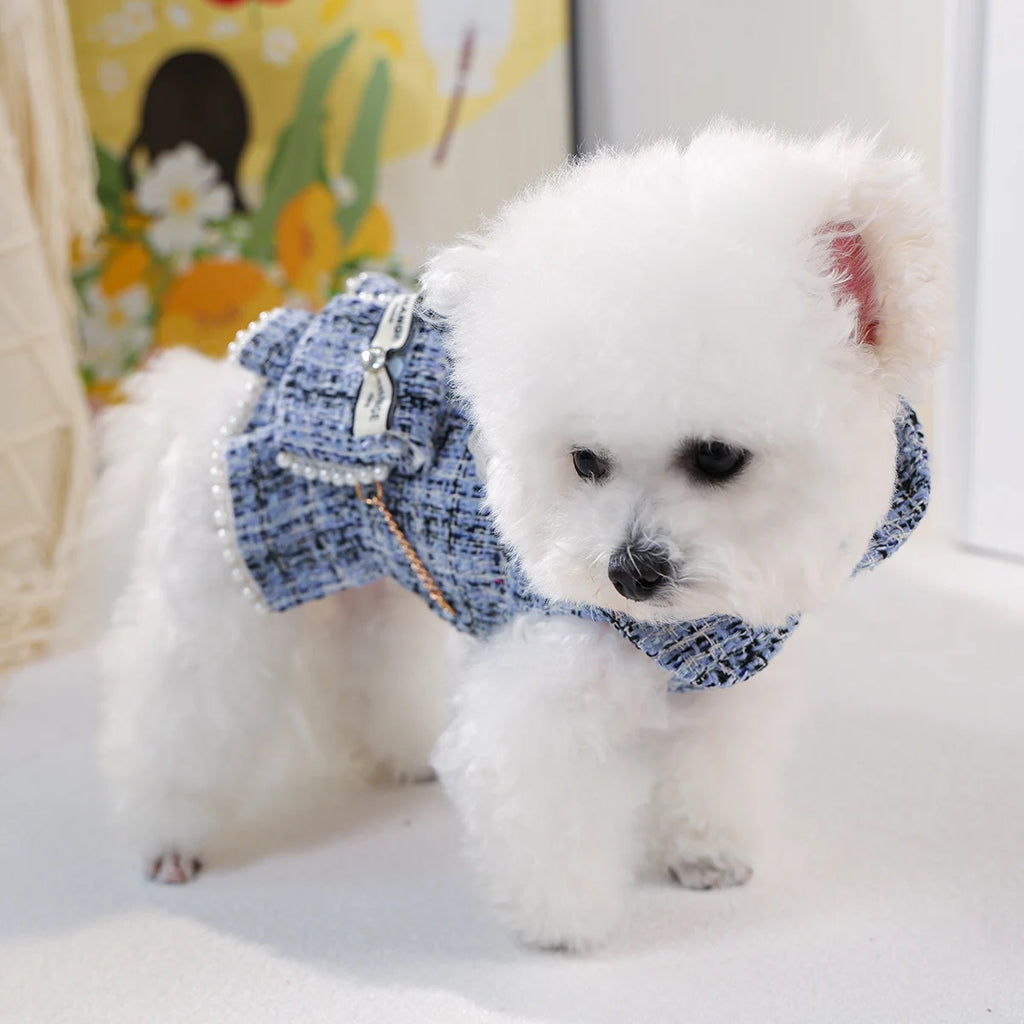Blue Tweed Pet Dress with Mini Backpack
