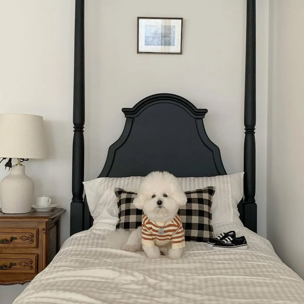 Striped Wool Dog Sweater (Autumn/Winter)