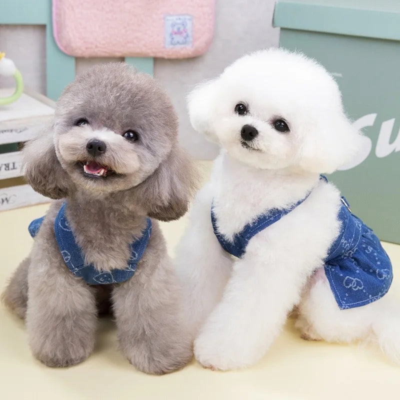 Denim Harness Dress for Small Dogs (Spring/Summer) 💙👗🐾