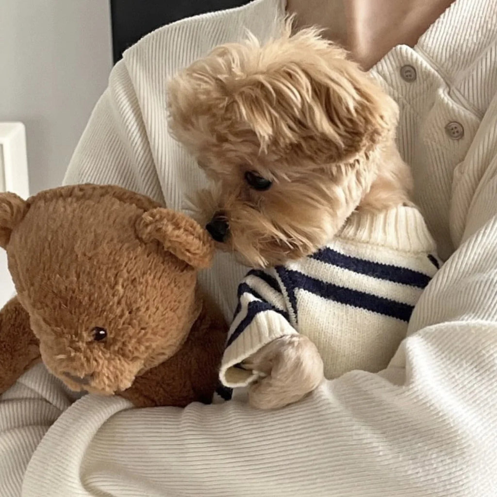 Striped Wool Dog Sweater (Autumn/Winter)