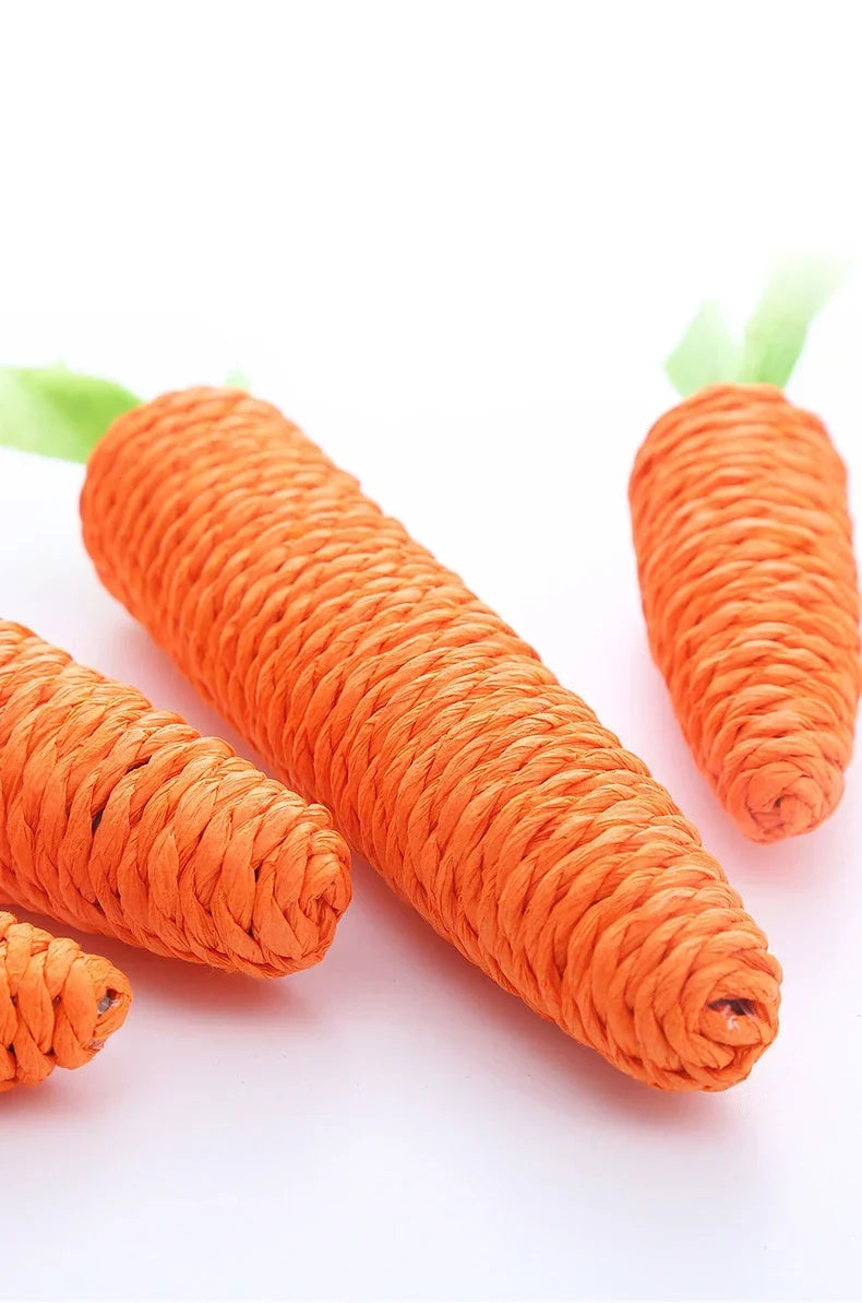 🥕Squeaky Carrot Cat Toy
