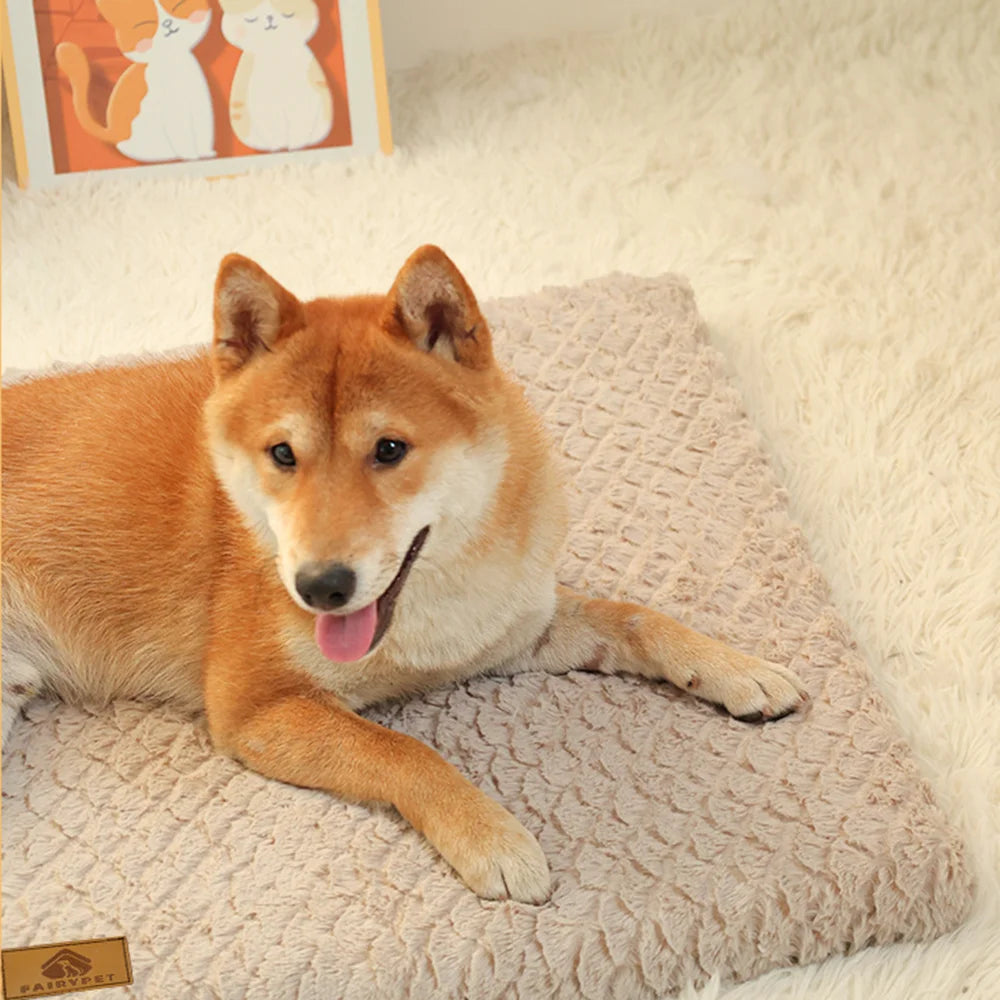 CloudRest Orthopedic Pet Bed