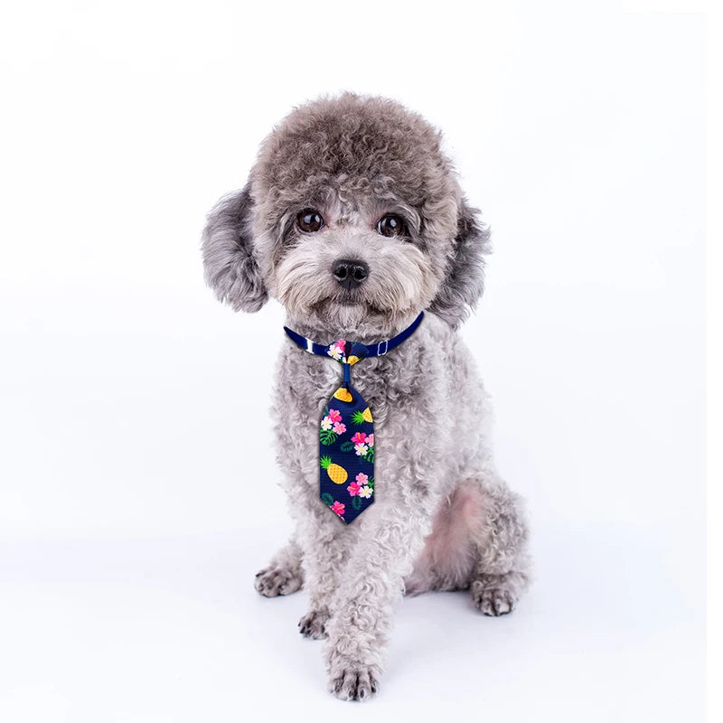 Colorful Pet Neckties Pack (10pcs)