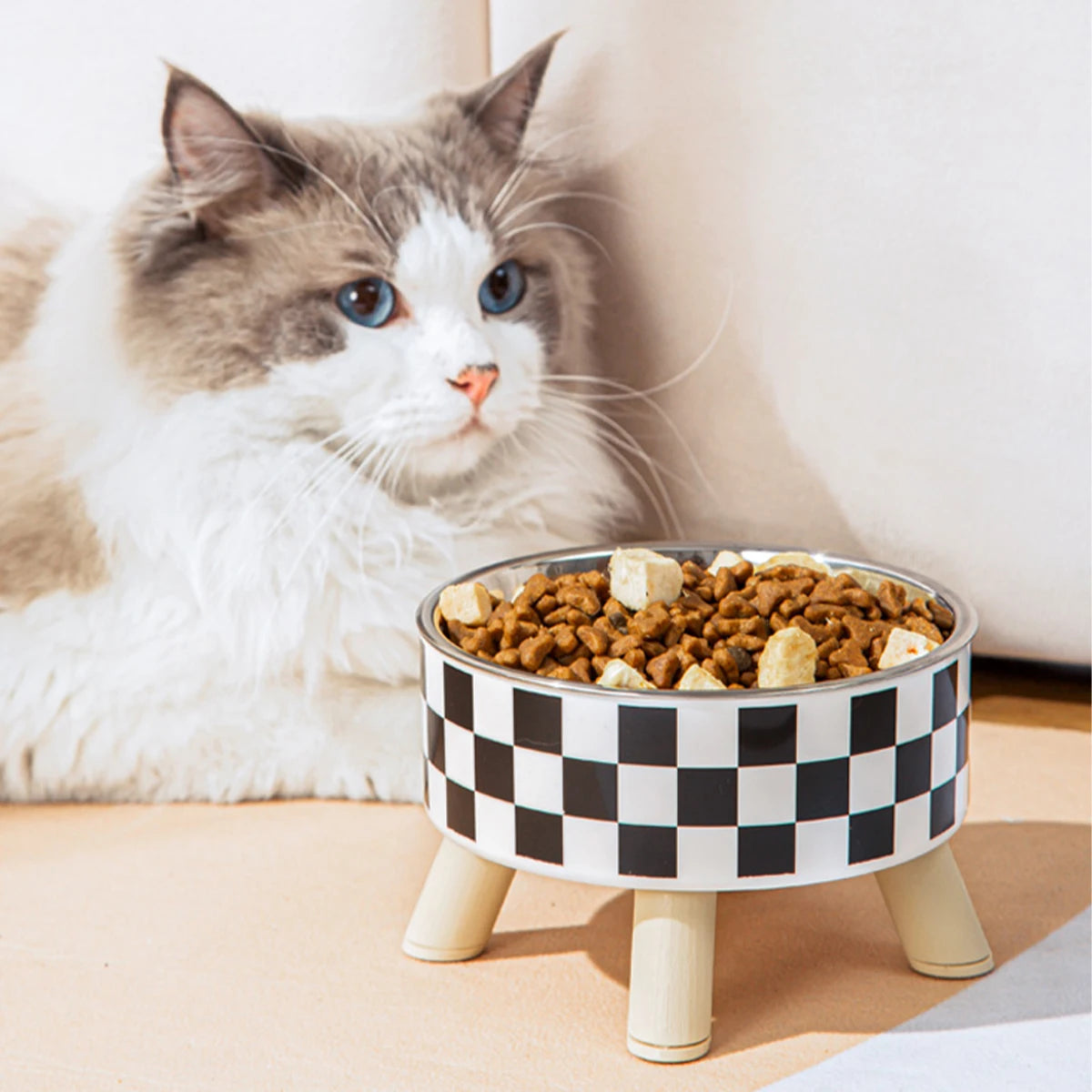 Elevated Stainless Steel Pet Bowl with Decorative Stand