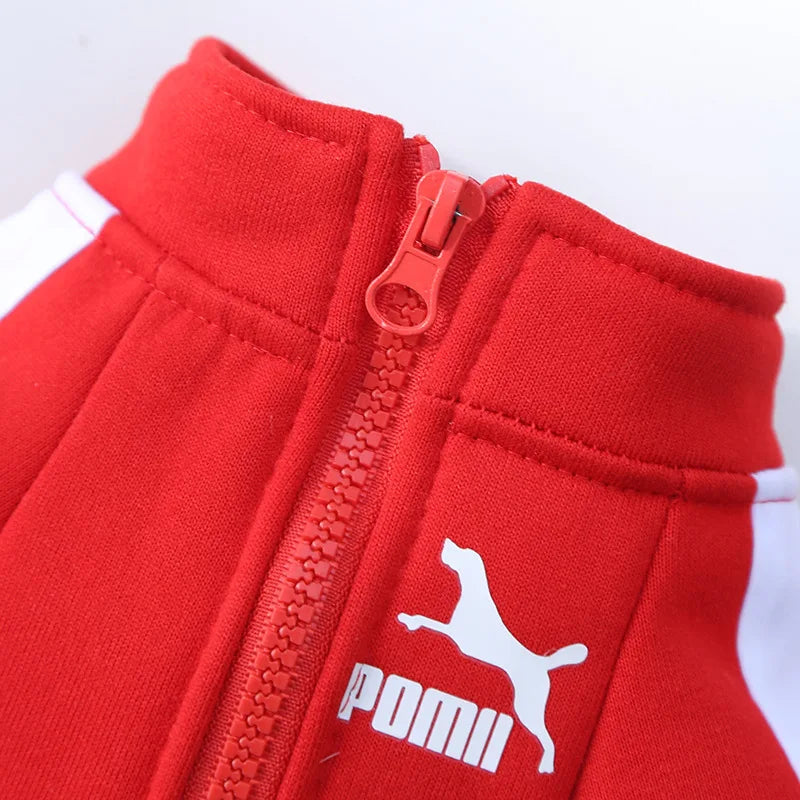Baseball Dog Jacket – Cozy Winter Pet Clothes