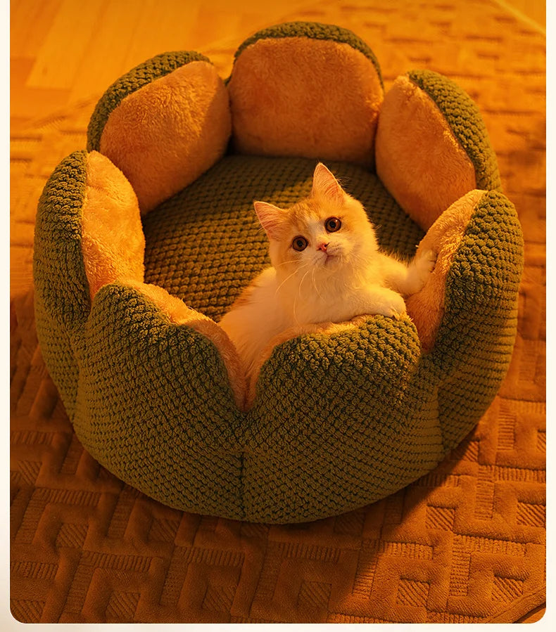 Cactus Flower Cat Bed (Plush Pet Nest for Cozy Naps) 🌵🌸🐱