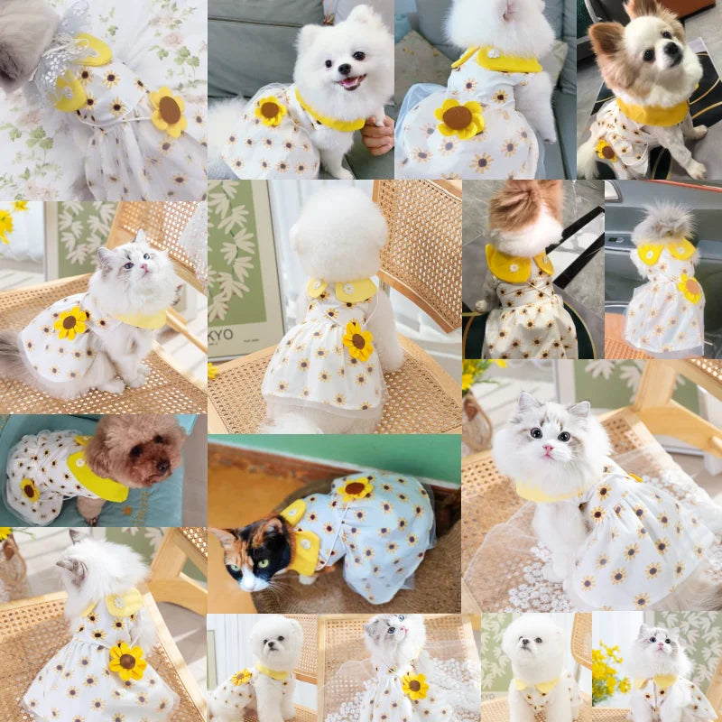 Sunflower Princess Mesh Dog Dress 🌼👗