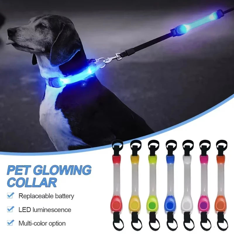 NightGlow LED Safety Light for Dog Collar/Leash (Multi-Color)
