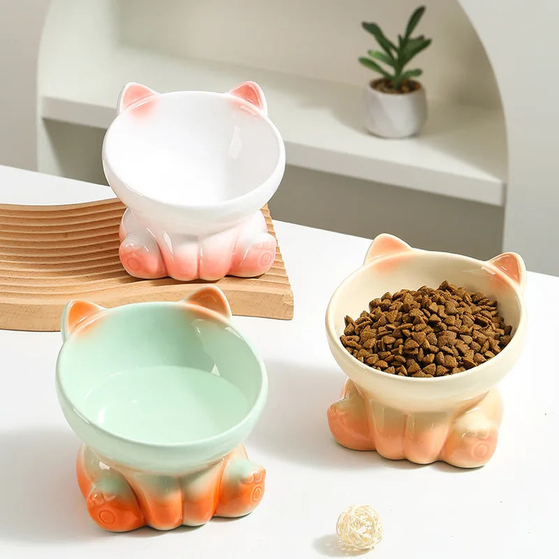 Gradient Ceramic Elevated Cat Bowl with Slanted Mouth