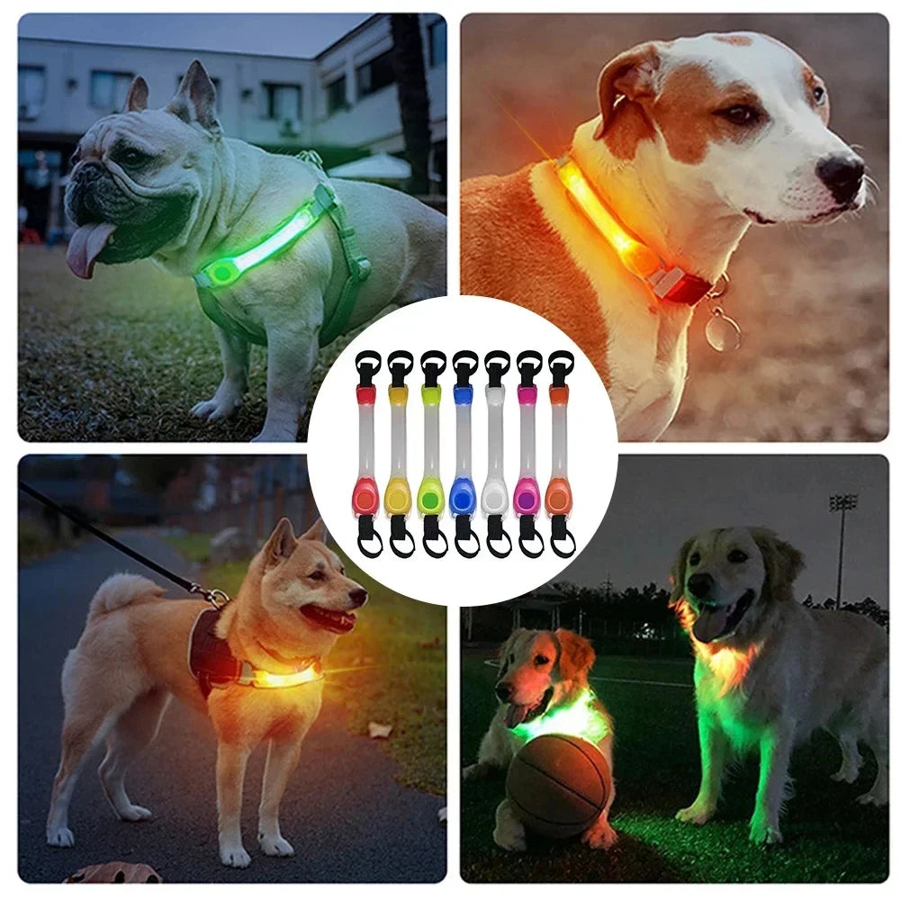 NightGlow LED Safety Light for Dog Collar/Leash (Multi-Color)