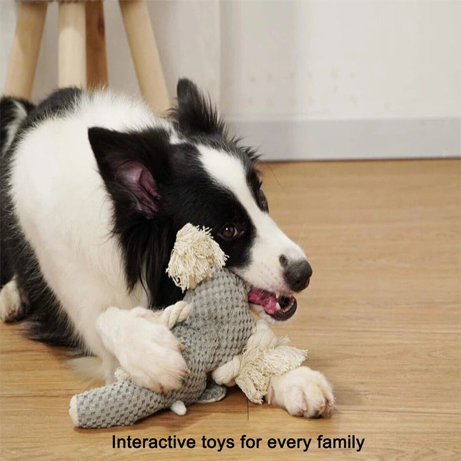 🐘Wild Pals Squeaky Plush Dog Toy