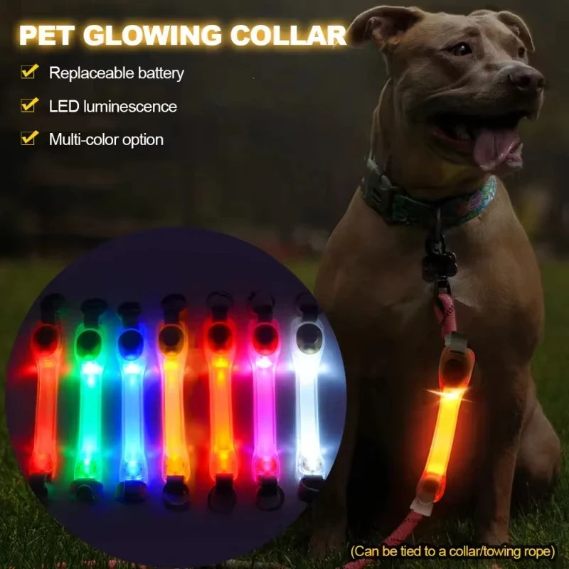 NightGlow LED Safety Light for Dog Collar/Leash (Multi-Color)