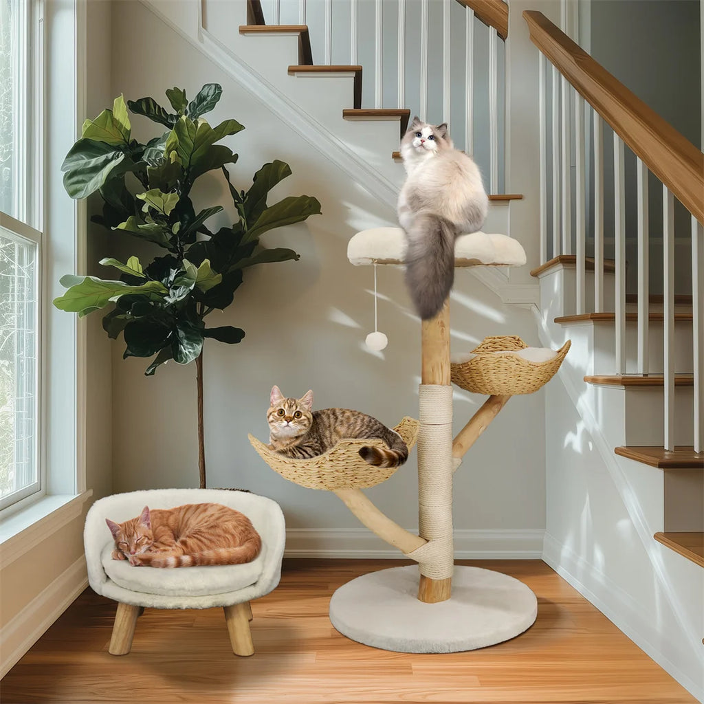 Modern Solid Wood Activity Tower for Indoor Cats