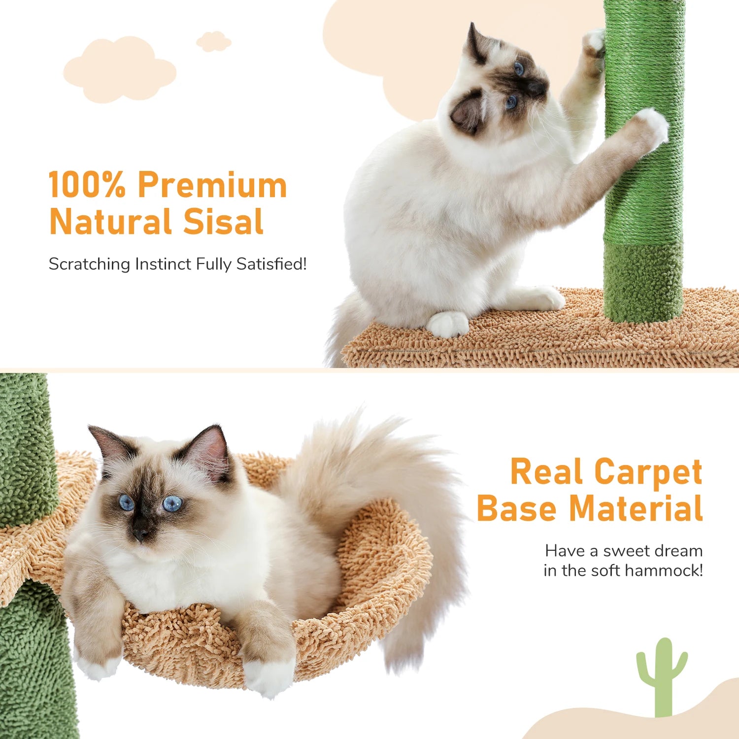 Floor-to-Ceiling Vertical Playground for Curious Cats