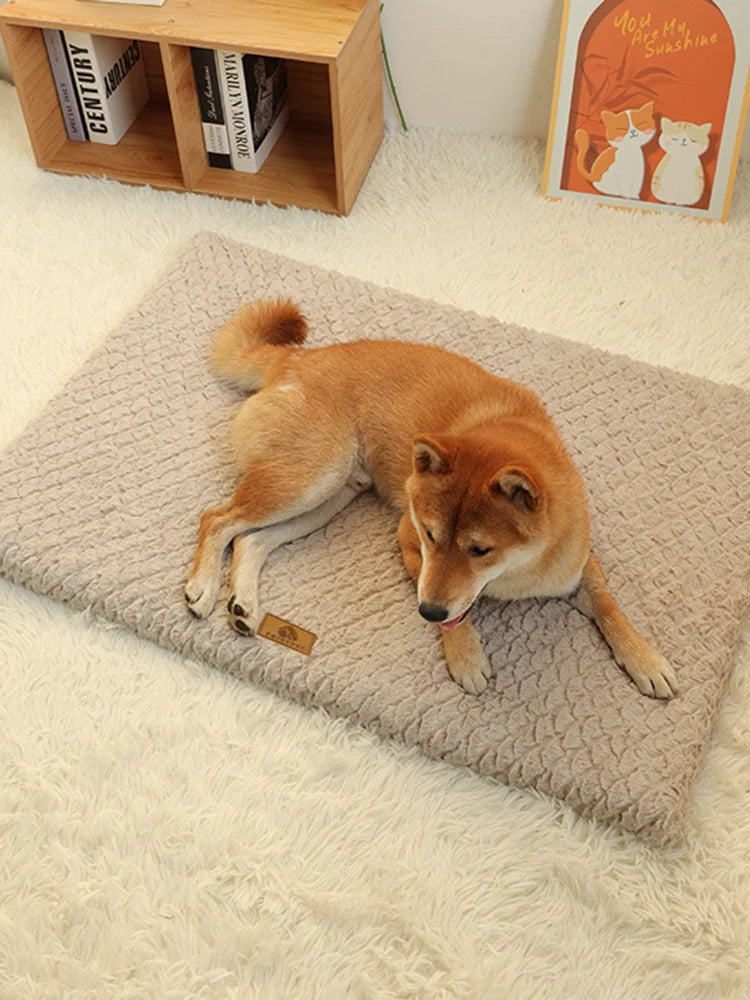 CloudRest Orthopedic Pet Bed