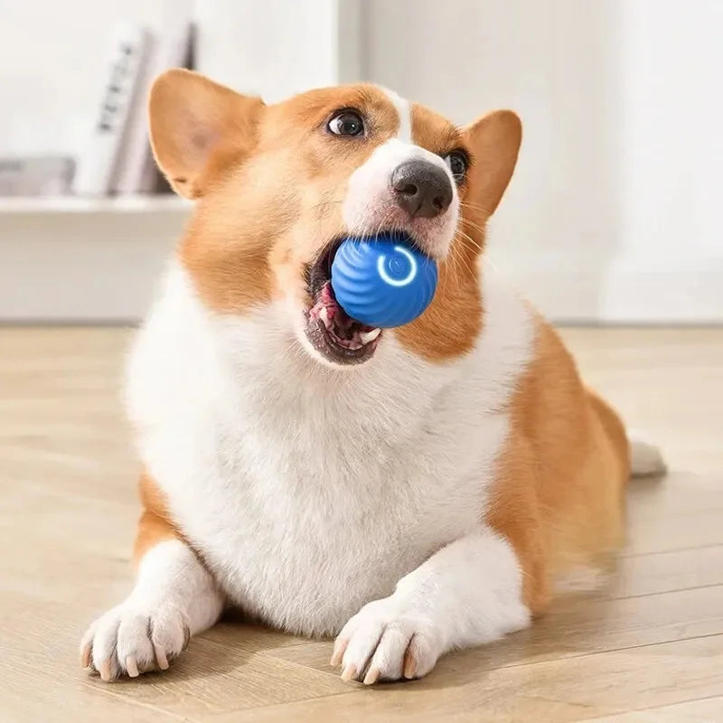 Smart Jump Ball Interactive Pet Toy (USB-C Rechargeable)