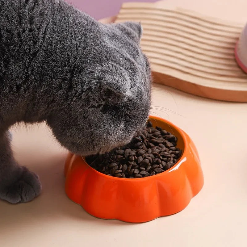 Fruit-Inspired Ceramic Cat Bowl