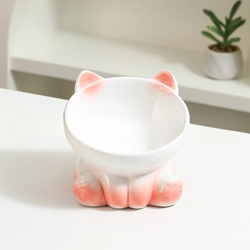 Gradient Ceramic Elevated Cat Bowl with Slanted Mouth