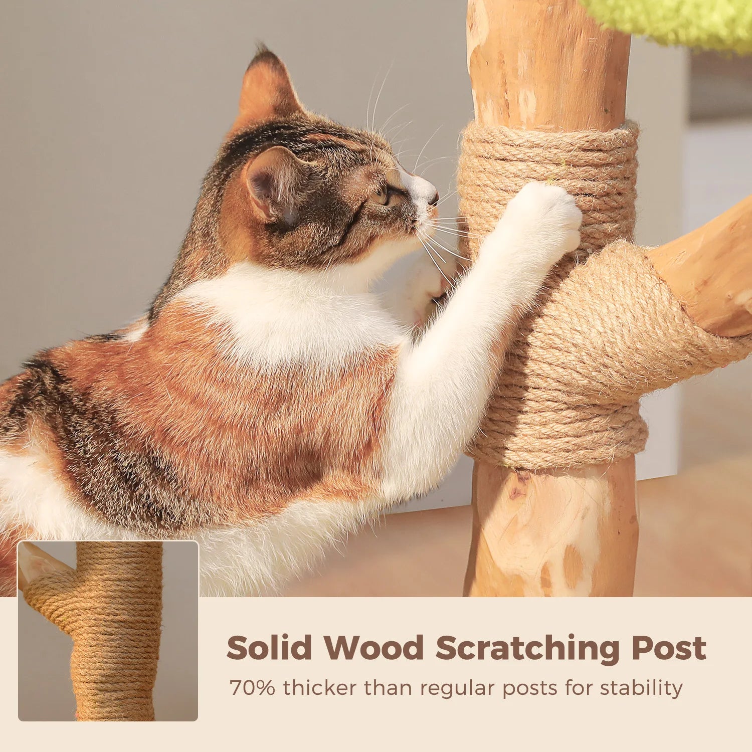 Forest Cat Tree Tower (4 Condos + Flower Top Bed + Thick Scratcher)
