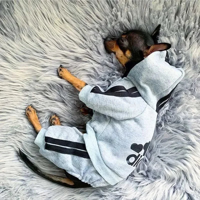 Sport Hoodie Dog Jumpsuit (4-Leg) 🐶✨