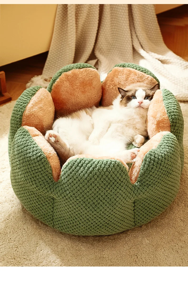 Cactus Flower Cat Bed (Plush Pet Nest for Cozy Naps) 🌵🌸🐱