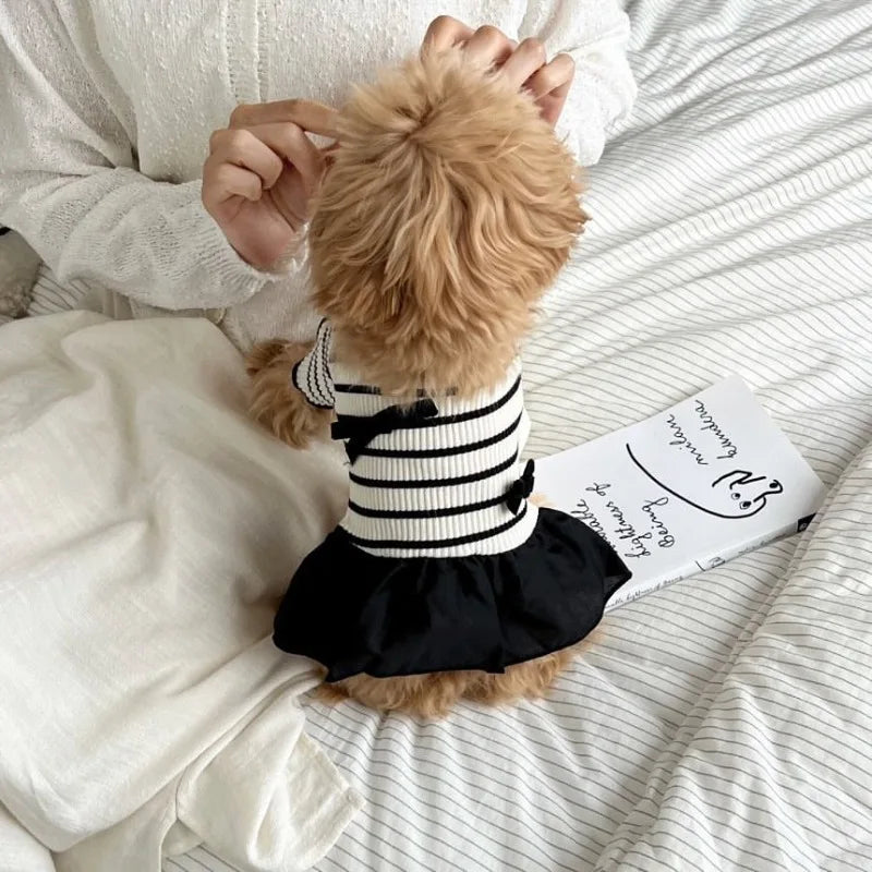 Stripe Bow Princess Pet Dress (Black & White Summer Outfit for Small Dogs) 🎀🖤🤍