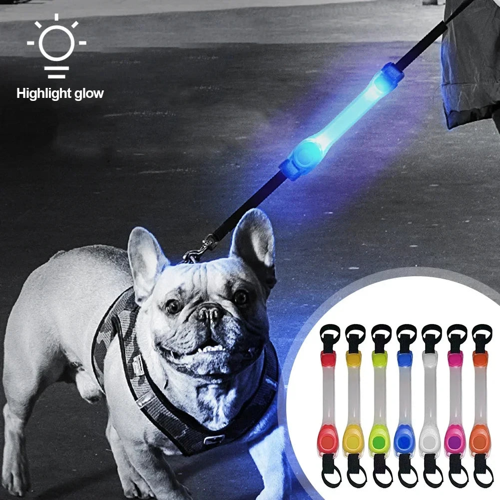 NightGlow LED Safety Light for Dog Collar/Leash (Multi-Color)