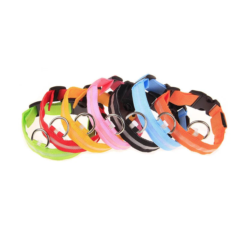 Necklace for Paws: Night Glow Collar