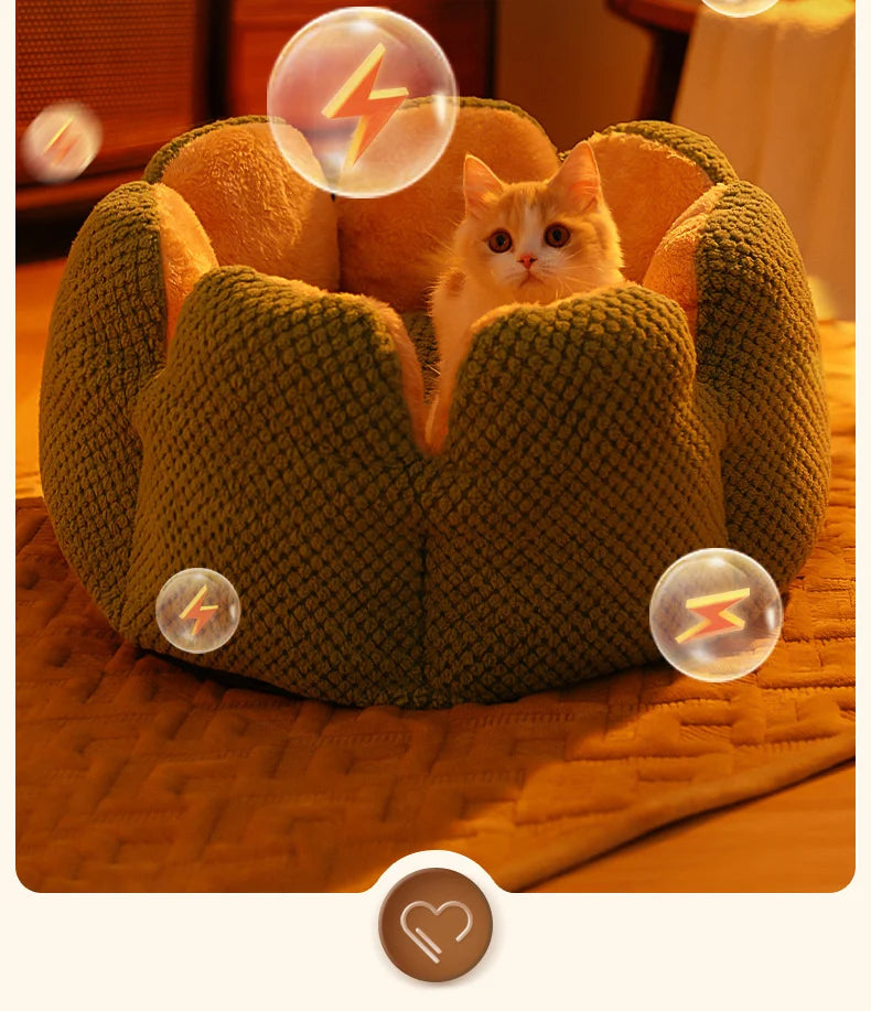 Cactus Flower Cat Bed (Plush Pet Nest for Cozy Naps) 🌵🌸🐱