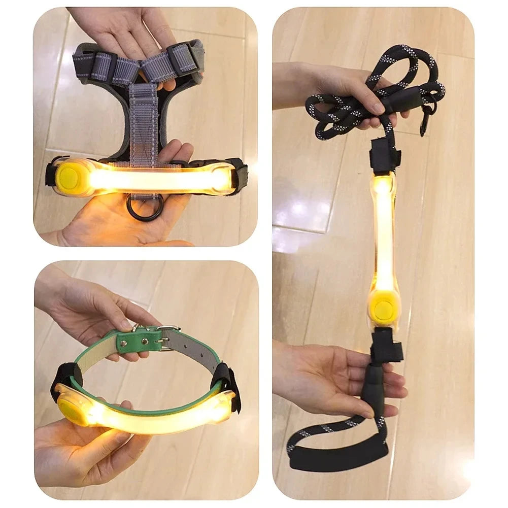 NightGlow LED Safety Light for Dog Collar/Leash (Multi-Color)