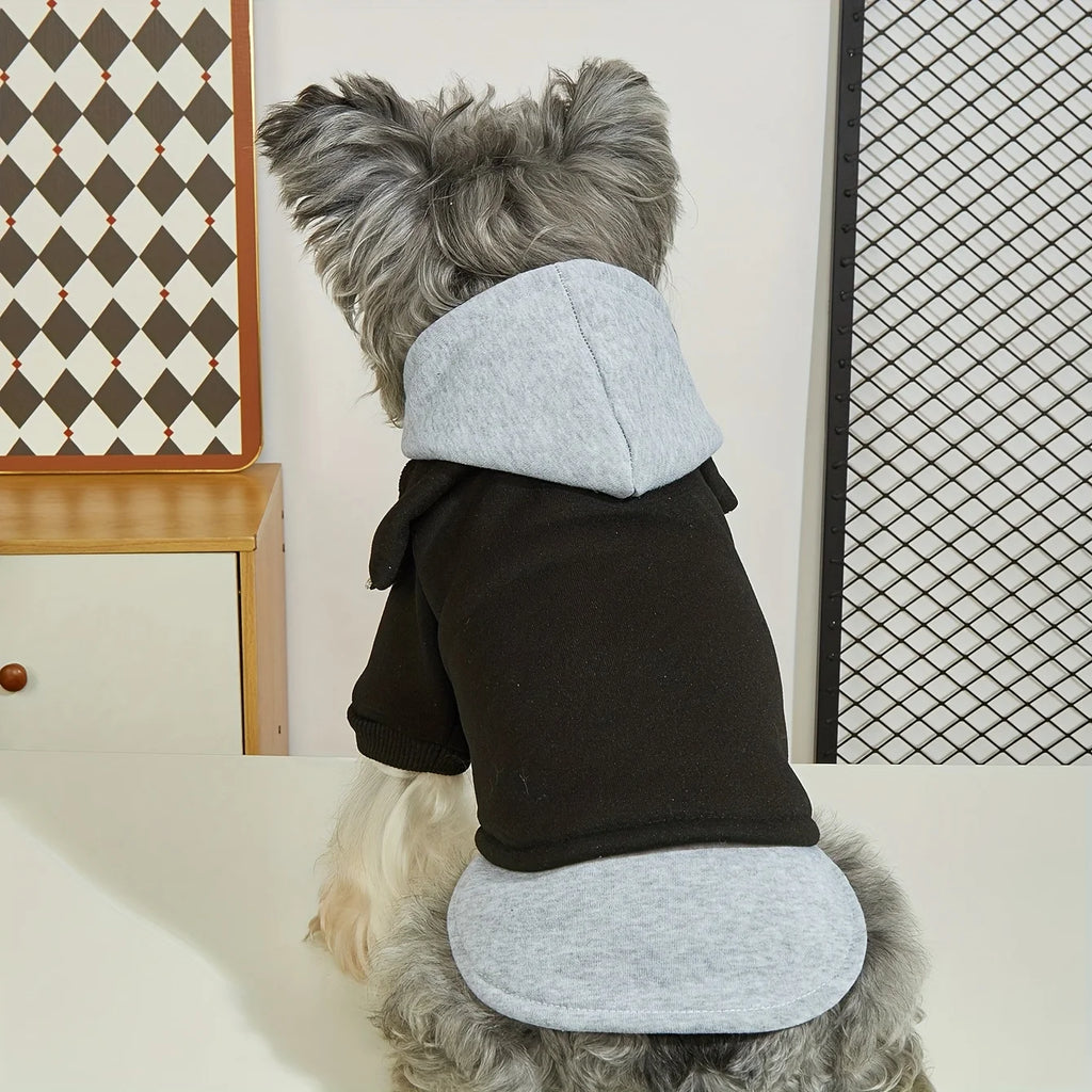ClassicLayer Pet Hoodie